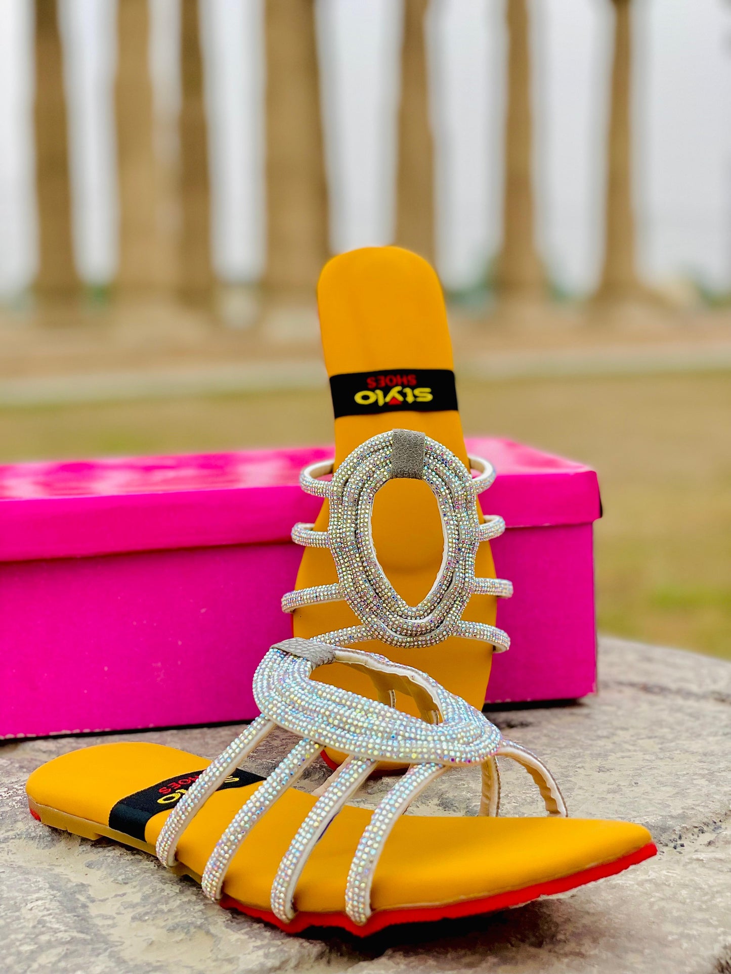 Elegant Women’s Slippers